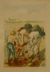 The Plow